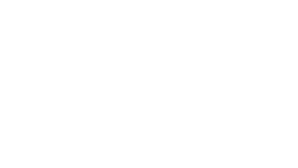 YP Metro
